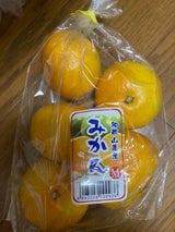 ミカン S              フクロ