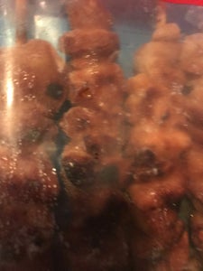 日本ハム　タイ産炭火焼き鶏もも串タレ　４本の商品写真