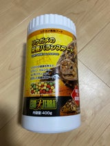 GEX リクガメの栄養バランスフード 400g