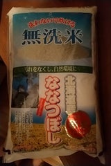 ヤマイチ 無洗米北海道産ななつぼし KY 5kg