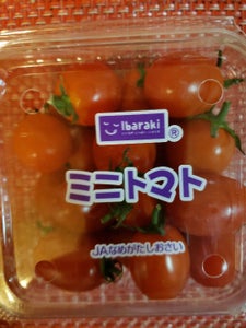 JA茨城 ミニとまとのレビュー画像