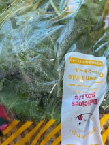 バイテック 石川県産ケール