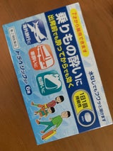 トラベリックSP 6錠