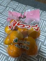 ケイネット JAグリーン日高ゆらっ子SP 1P