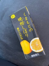 JA熊本 くまもとの晩柑しぼり 200ml