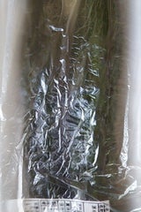 JAあきた湖東 きゅうりのからし漬 130g