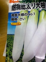 日農 タキイ交配耐病総太り大根 1P