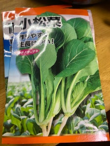 日本農産種苗　小松菜のレビュー画像