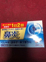 ブルミン鼻炎カプセルL 24CP