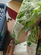 JA木野 みずな 200g