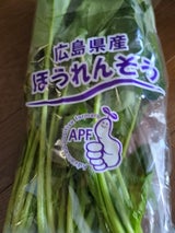 昭栄 ほうれんそう 1P