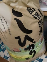 明石屋 しまねっこ米コシヒカリ 10kg
