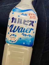 カルピス カルピスウォーター PET 500ml