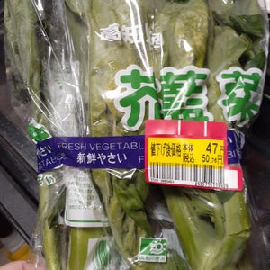 高知園芸　芥藍菜　１Ｐのレビュー画像