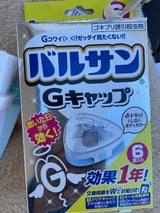レック バルサン Gキャップ 6個