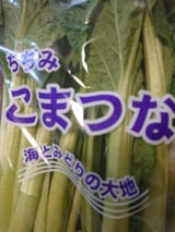 JA茨城 サラダ小松菜 100g