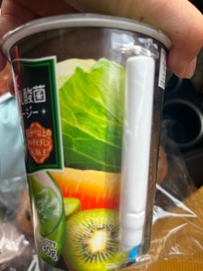 日本ルナ　乳酸菌　グリーンスムージー　２４０ｇの商品写真