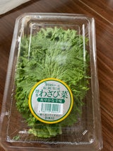 全農福岡 わさび菜 5枚