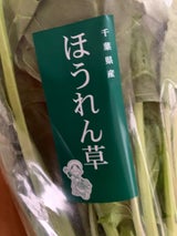 船橋 ほうれんそう 200g