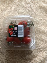 黒木 アイコトマト