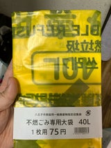 八王子市 不燃大40L ばら