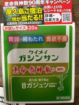 恵命我神散S<細粒>(細粒剤) 3g×20包
