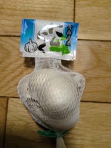 グランド・ベジ にんにく 青森産 1P