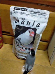KUROSE マニア 文鳥 1Lのレビュー画像