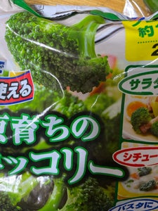 商品写真