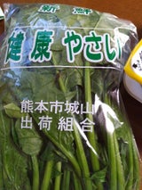 熊果物流センター サラダほうれん草