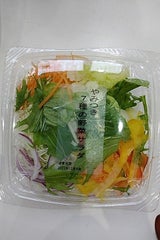 エイジ 7種のやみつきサラダ 1斤