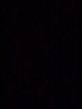 星硝 取手付密封びん 4L