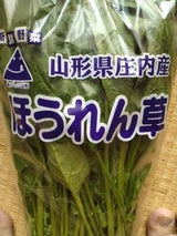 NIC 庄内産ほうれんそう 1P