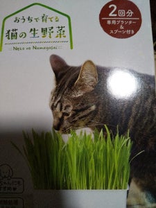 おうちで育てる　猫の生野菜　２回分のレビュー画像