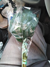 サンクス 花束 1P