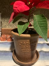 八幡 ガーデンズエコポット 丸4号 ナチュラル