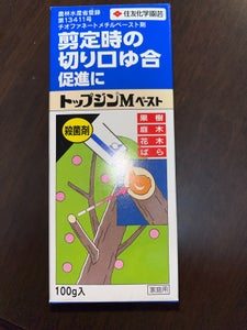 タケダ　トップジンＭペースト　１００ｇの商品写真