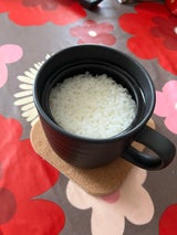 カクセー 電子レンジ専用炊飯陶器楽炊御膳 黒