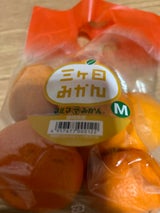 真栄 みかん M