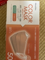 不織布カラーマスク ふつう Cオレンジ 50P