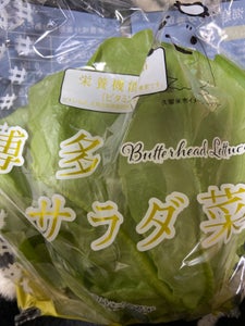 JA福岡 サラダ菜 99gのレビュー画像