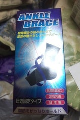 新生 ブレイスサポーター足首 L