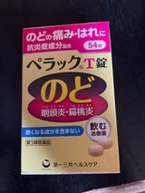 ペラックT錠 54錠
