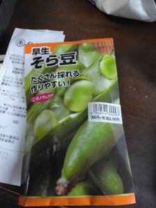 日本農産種苗　早生そら豆のレビュー画像