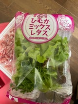 ひむか ひむかミックスレタス 60g