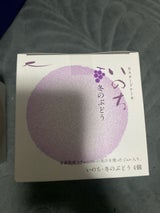 ラグノオささき いのち冬のぶどう 4個