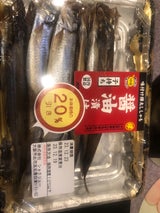 マル伊 ヤリイカ姿造り