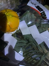 長尾 しめなわ チユウ