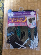 三誠 サニタリーショーツ ドット L 1枚