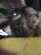 森山 どんこ椎茸M 50g